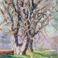 Arbre aux troncs jumeaux - Huile